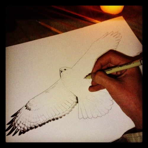 The inception of the illustration