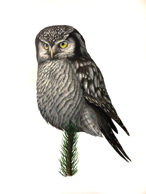 Art by Bryce W. Robinson