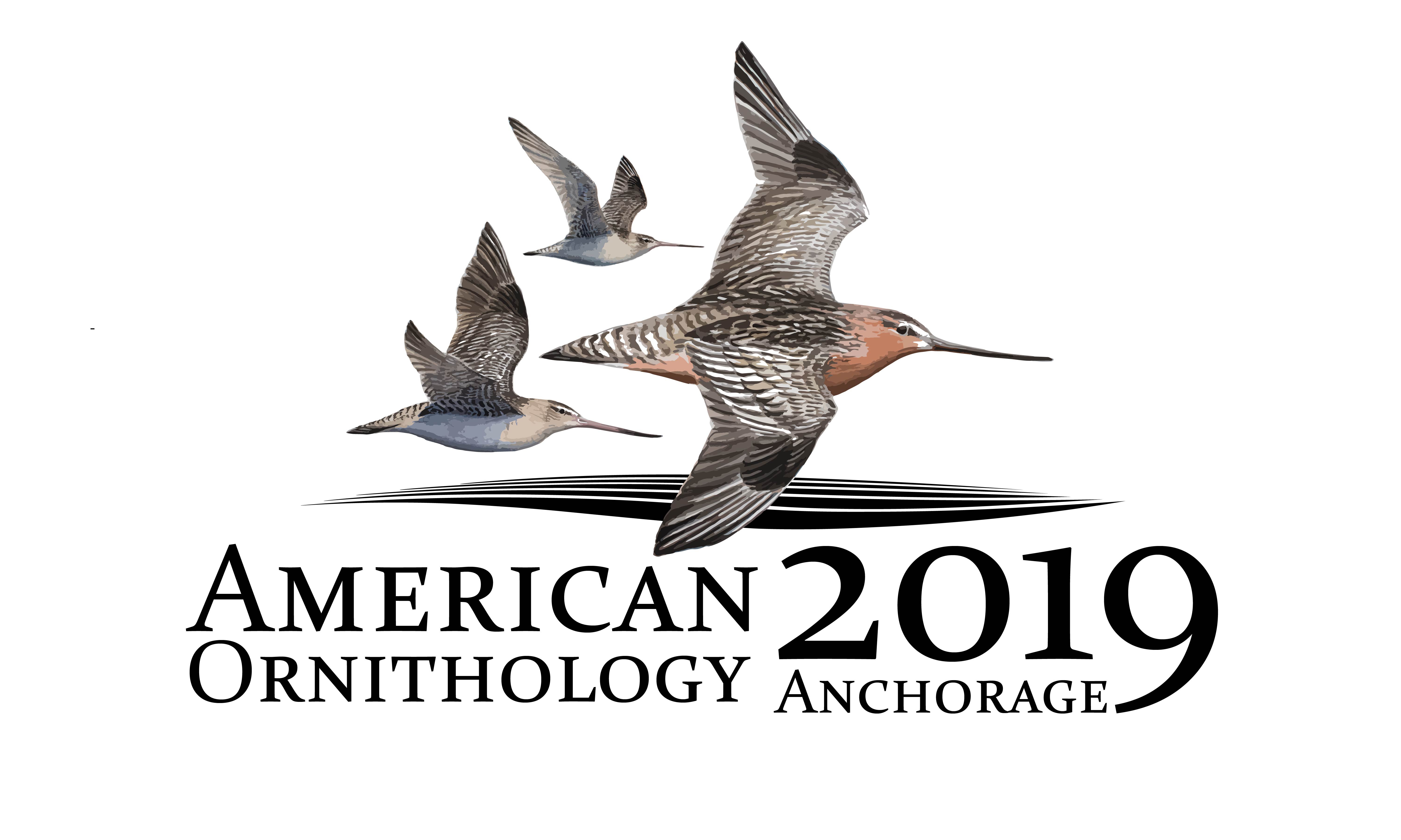 AOS2019-Logo-draft I-01