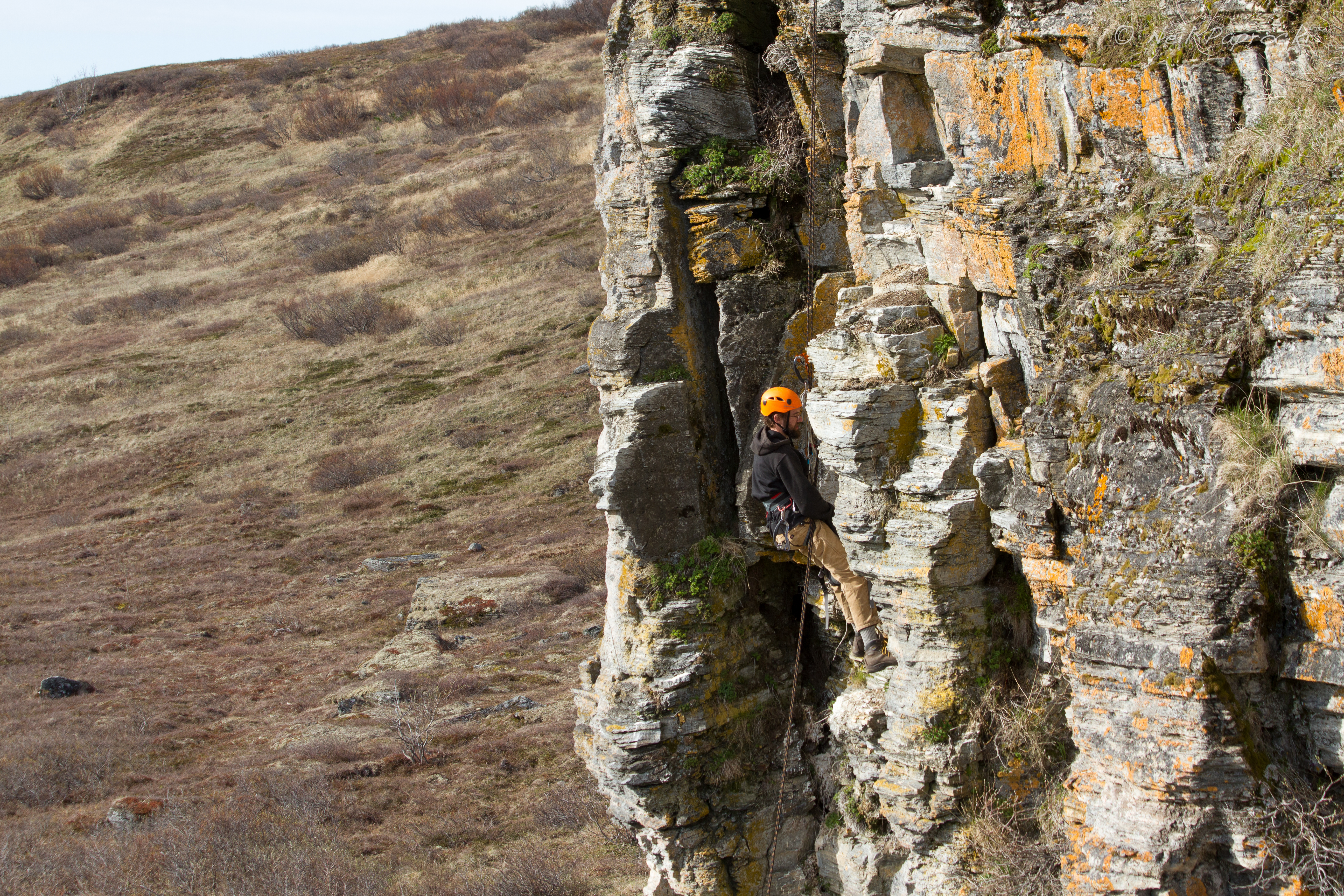 Bryce rappelling into Gyrfalcon nest