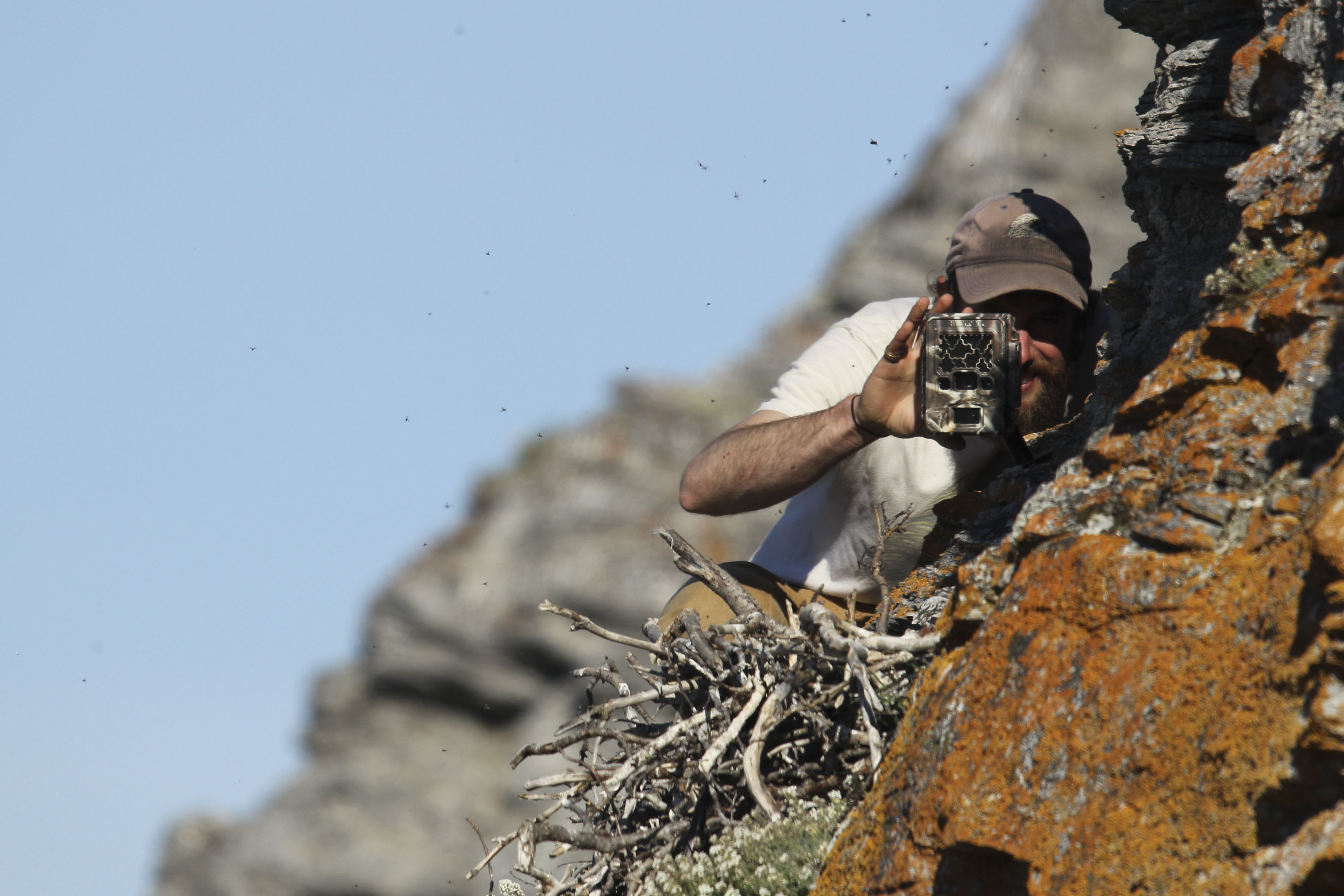 Bryce and Gyrfalcon nest camera