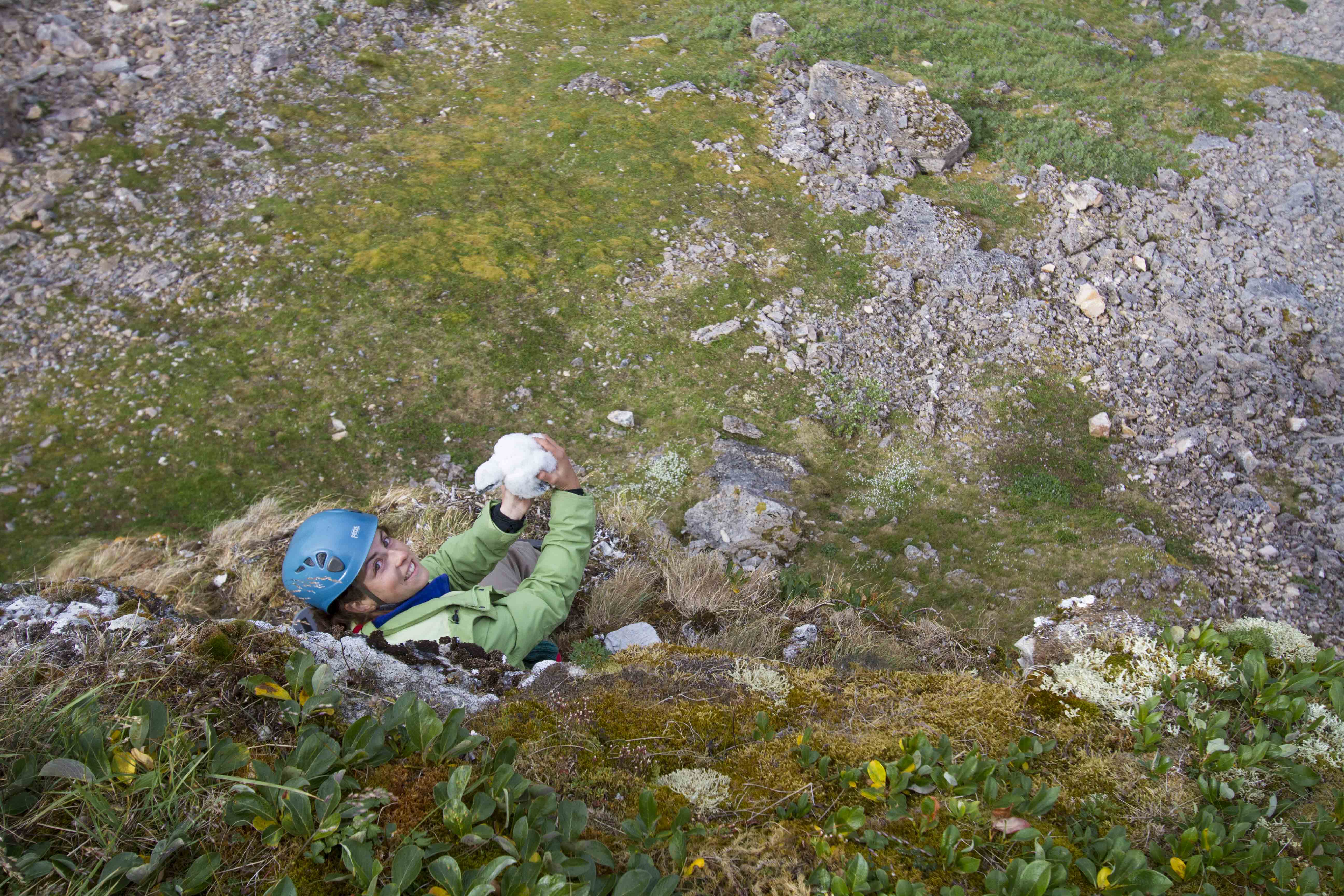 Ellen in Gyrfalcon nest with nestling
