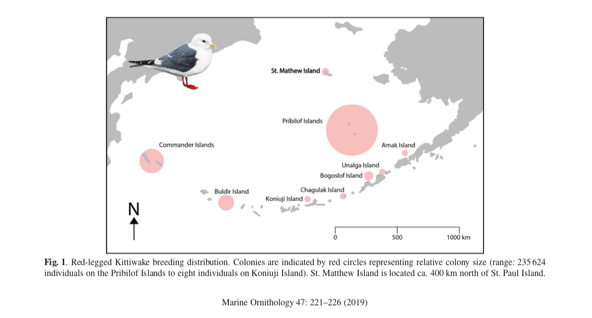 Screen Shot 2019-09-29 at 1.12.00 PM.png