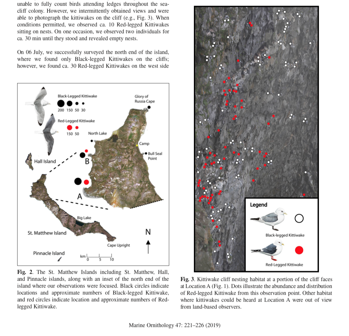 Screen Shot 2019-09-29 at 1.12.55 PM.png