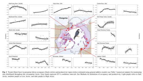 Screen Shot 2019-12-29 at 12.25.11 PM